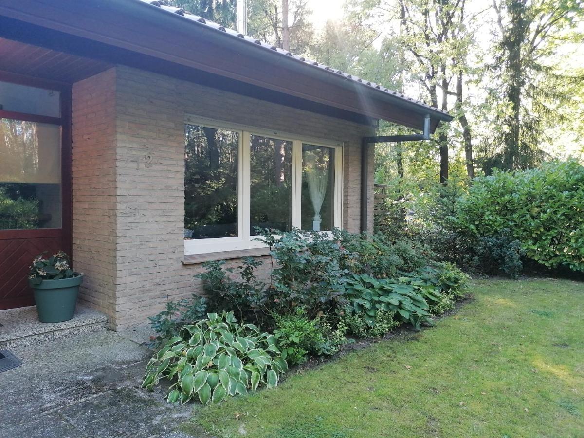 Ferienhaus Fasanennest Uelsen المظهر الخارجي الصورة
